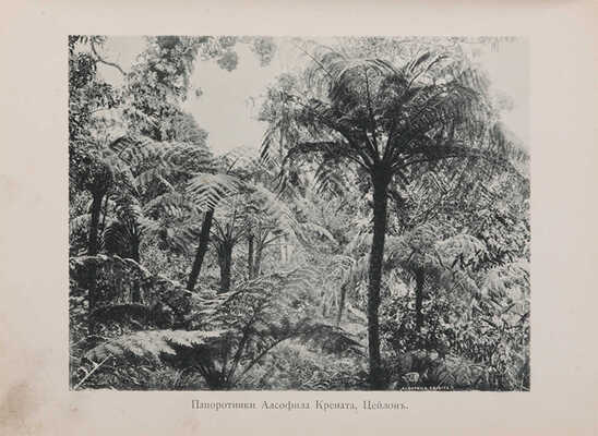 Щербатова О.А. По Индии и Цейлону: Мои путевые заметки 1890-91 гг. М.: Типо-лит. т-ва И.Н. Кушнерёв и К°, 1892. 